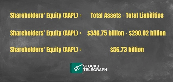 Total equity: Example of Shareholder Equity