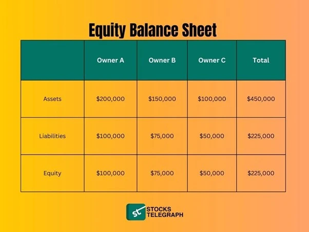 Business Equity - balance sheet for multiples owners
