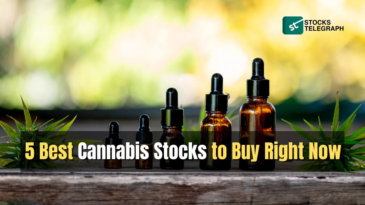 Best Cannabis Stocks to Buy Right Now