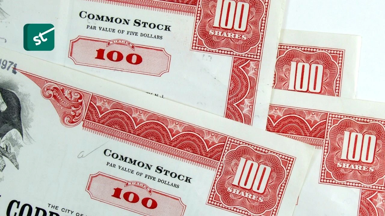 Components Of Fully Diluted Shares Outstanding