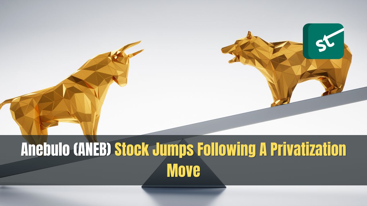 Anebulo (ANEB) Stock Jumps Following A Privatization Move